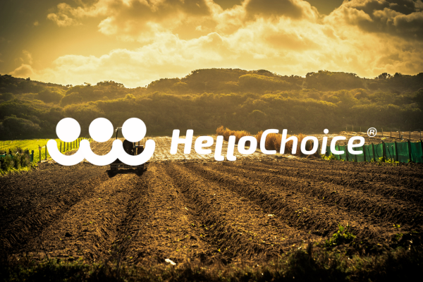 HelloChoice